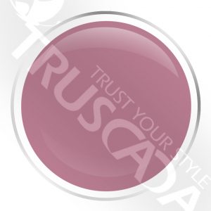 Trust your style Truscada Northern Ireland logo for dental and healthcare professionals SEO.